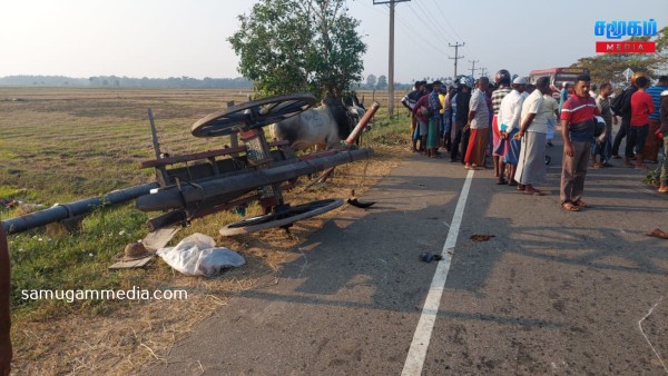 மாட்டு வண்டியுடன் மோட்டார் சைக்கிள் மோதி கோர விபத்து - குடும்பஸ்தர் ஸ்தலத்தில் பலி samugammedia 